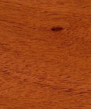 Pin knot in finished plantation mahogany