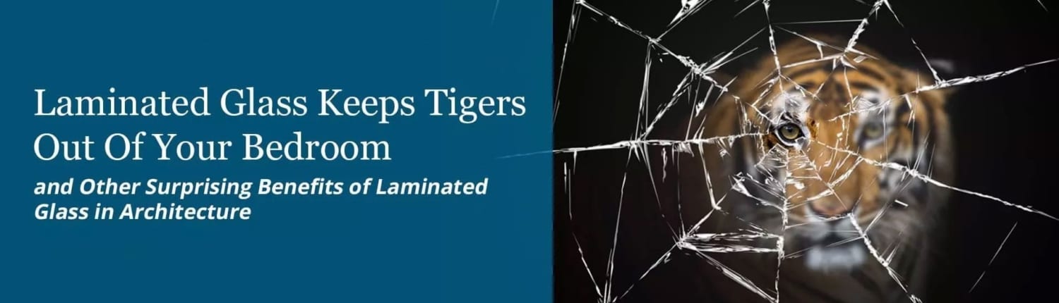 Laminated Glass Keeps Tigers Out of Your Bedroom and Other Surprising Benefits of Laminated Glass in Architecture