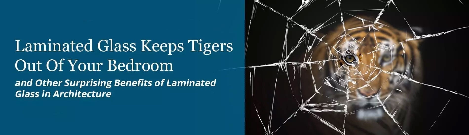 Laminated Glass Keeps Tigers Out of Your Bedroom and Other Surprising Benefits of Laminated Glass in Architecture